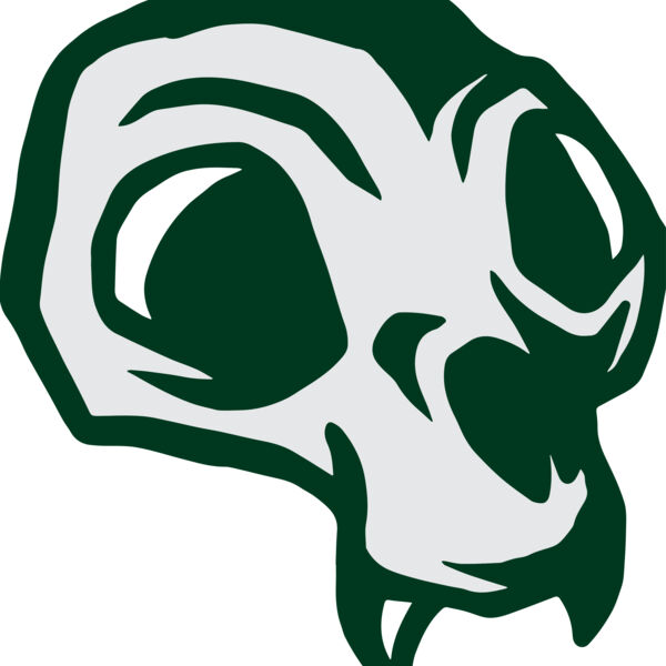 Elements Skulls logo template 144 Miniaturansicht