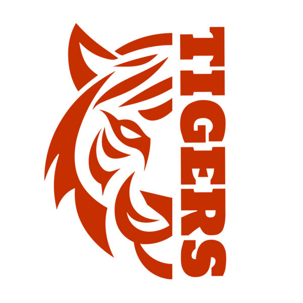 School Tigers 03 Miniaturansicht