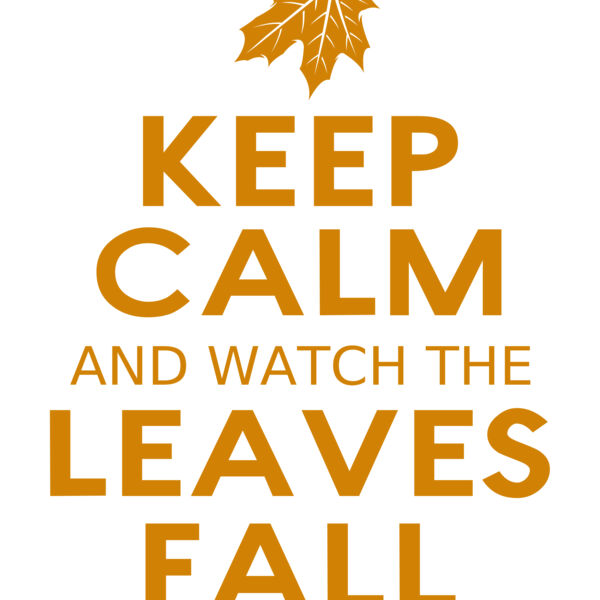 Fall Season 04 Miniaturansicht