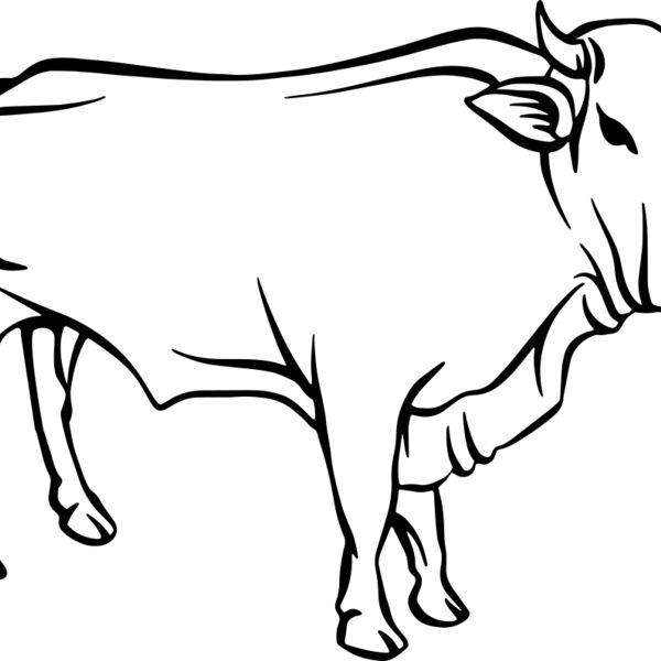 Cow   Clipart 2 Miniaturansicht