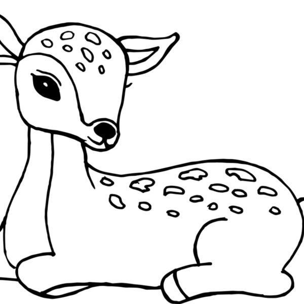 Deer   Clipart 2 Miniaturansicht