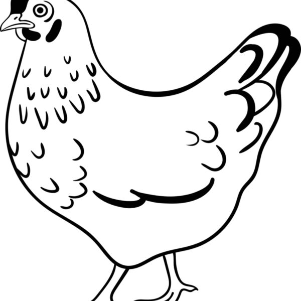 Hen   Clipart 2 Miniaturansicht