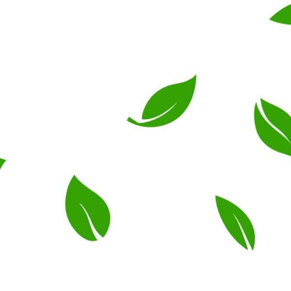 13 Leaves Miniaturansicht