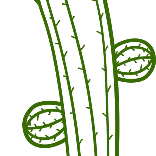 Cactus Miniaturansicht