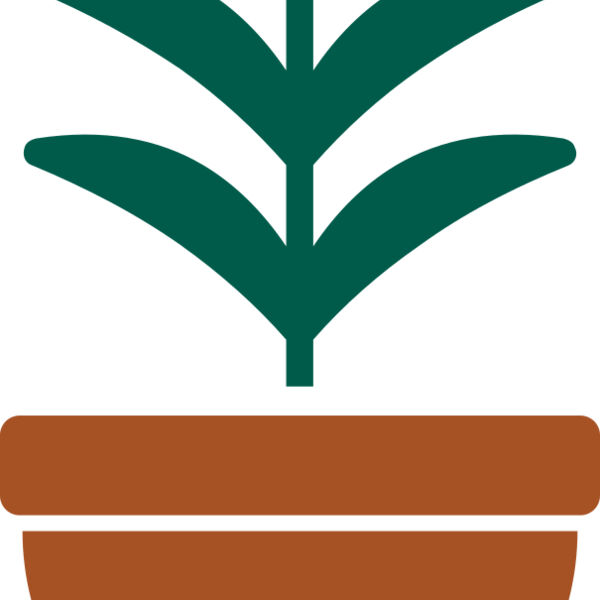 Plant 2 Miniaturansicht