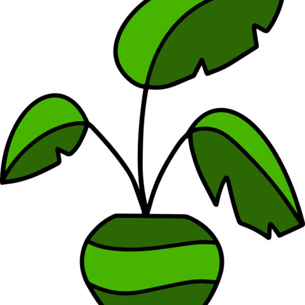 Plant Miniaturansicht