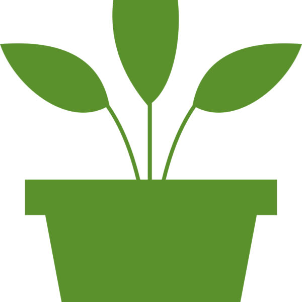 Plant 2 Miniaturansicht