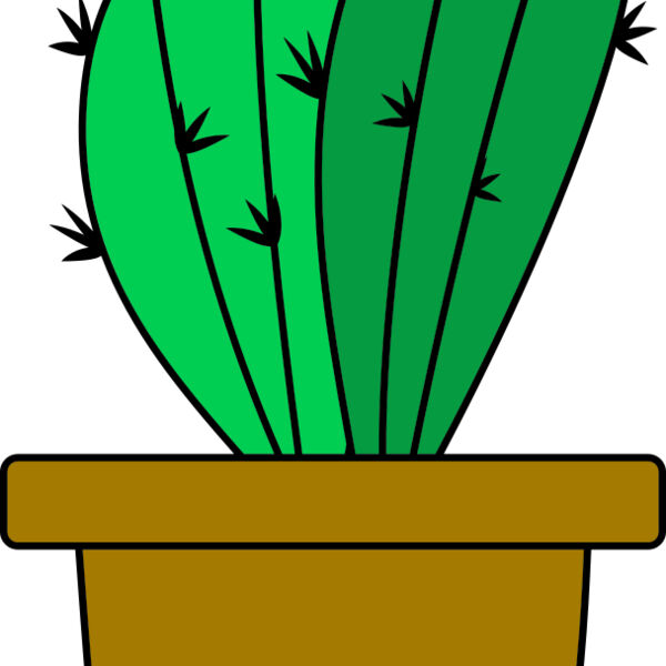 Cactus 4 Miniaturansicht