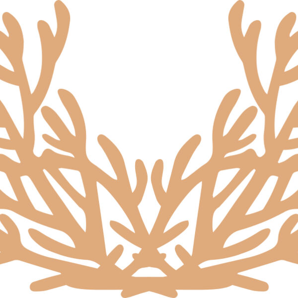 Sea Plants Miniaturansicht