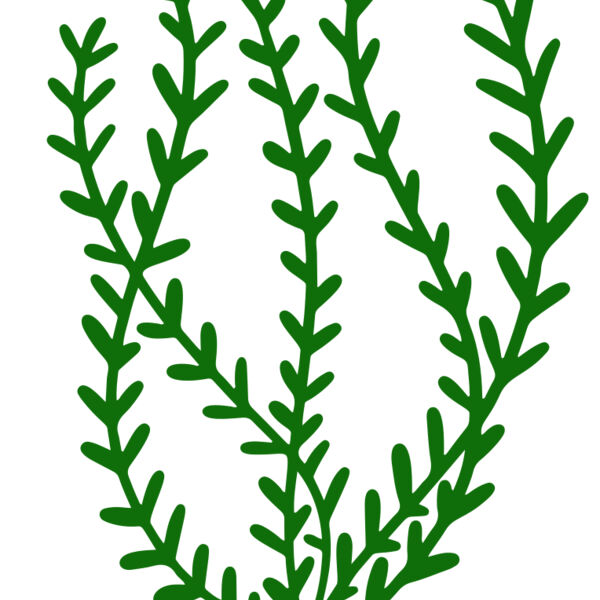 Sea Plants 3 Miniaturansicht