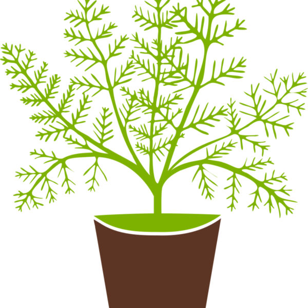 Plant Miniaturansicht