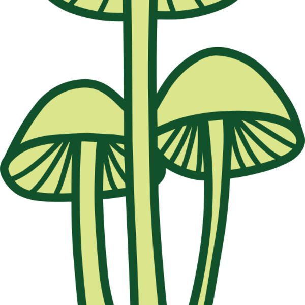 Mushroom 2 Miniaturansicht