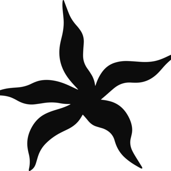 Tropical Star Leaf Miniaturansicht