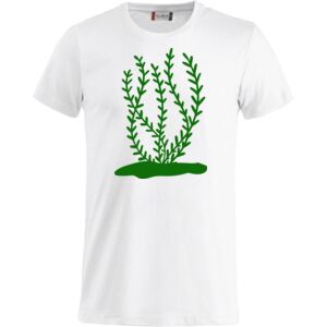 Clique Basic-T Miniaturansicht