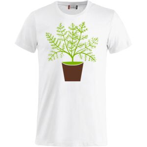 Clique Basic-T Miniaturansicht