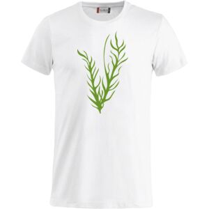 Clique Basic-T Miniaturansicht